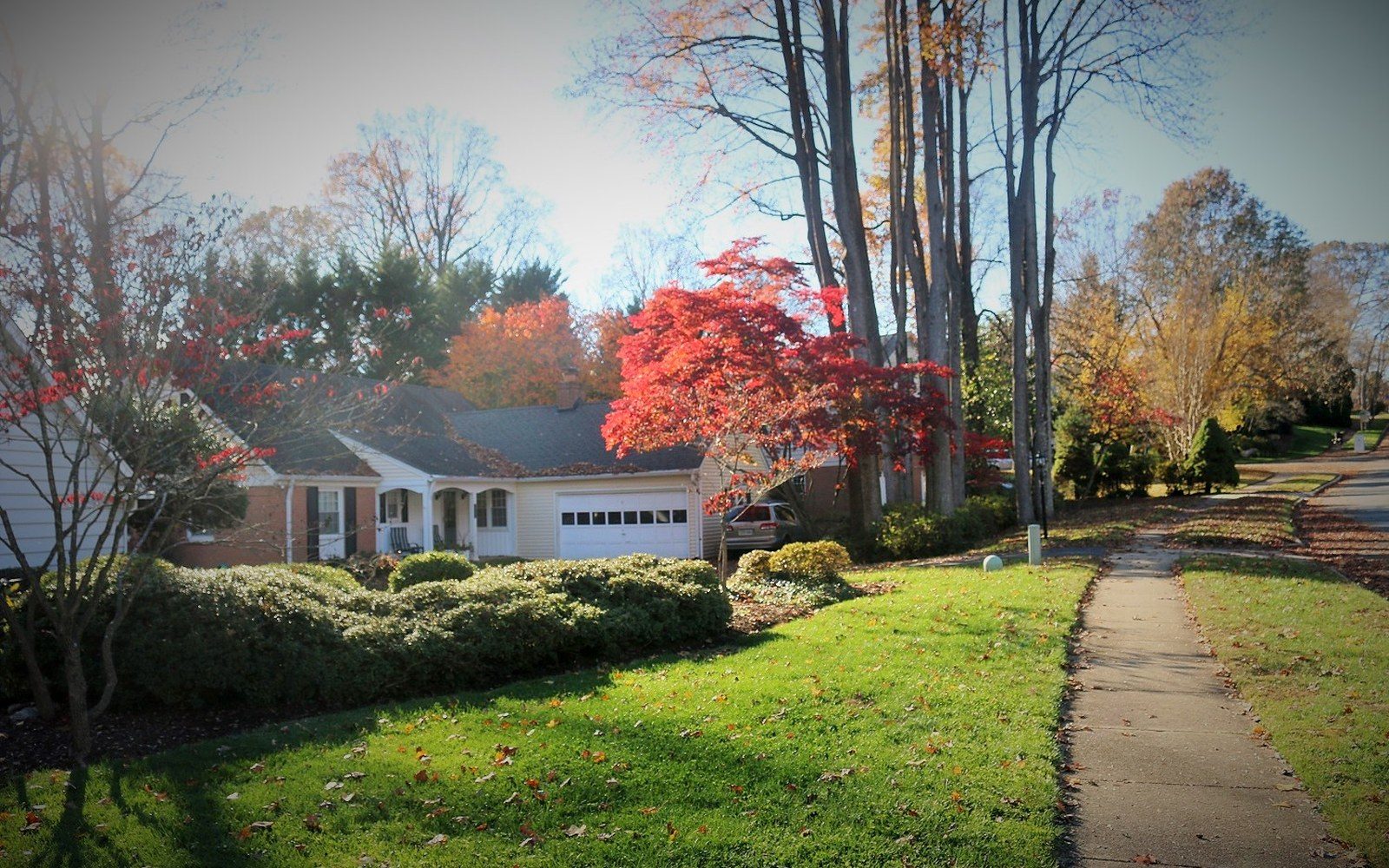 A brick ranch house with a red maple tree, front lawn, and sidewalk in autumn